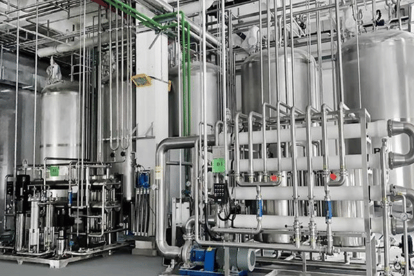 Mango Juice Processing Line