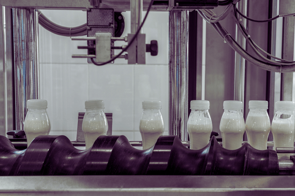Mango Juice Processing Line