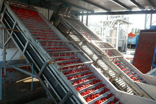 Mango Juice Processing Line