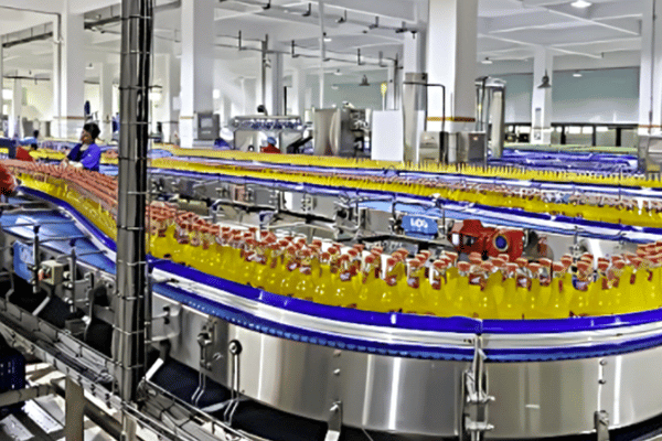 Mango Juice Processing Line
