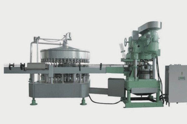 Efficient Pineapple Juice Processing Line