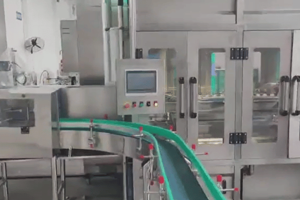 Efficient Pineapple Juice Processing Line