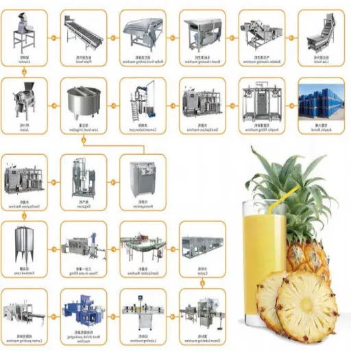 Automation in Pineapple Juice Processing