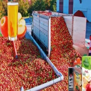 Comment traite-t-on le jus de pomme