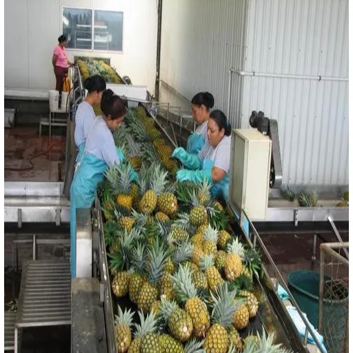 How is pineapple juice processed_
