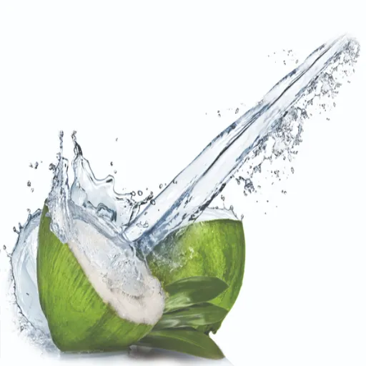 Introduction à l'eau de coco et de coco
