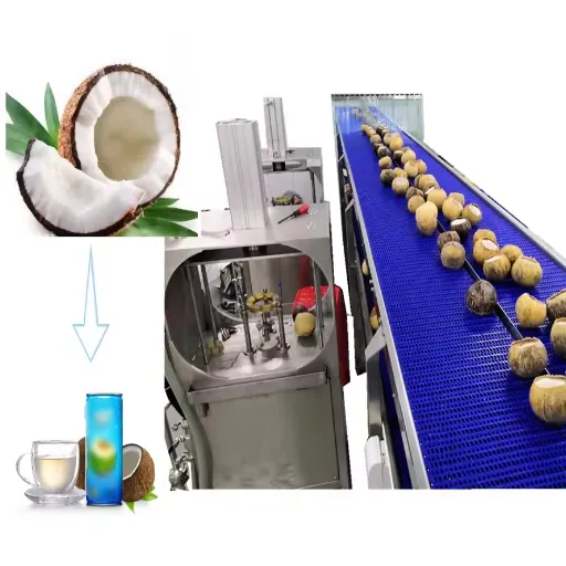 Machines et équipements dans la production d'eau de coco