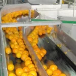 The Ultimate Guide to Orange Juice Processing Line