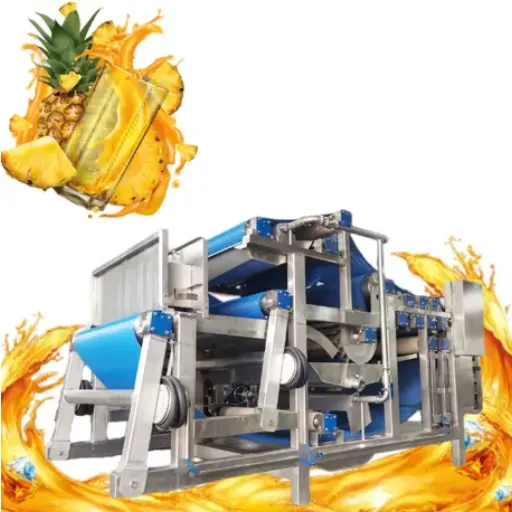 Processing Equipment Used in Pineapple Juice Production