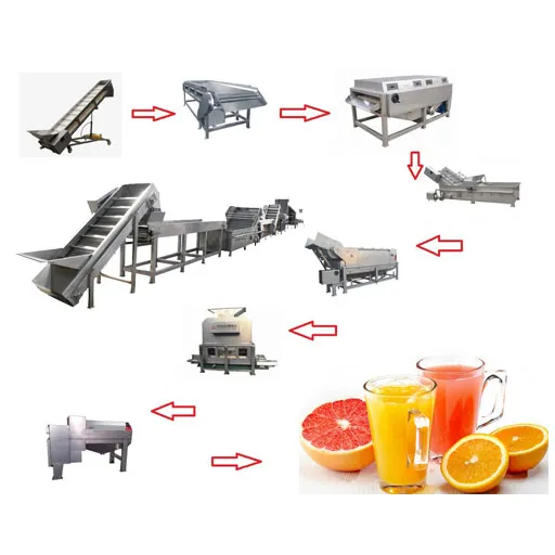 Introdução ao Processamento de Suco de Laranja