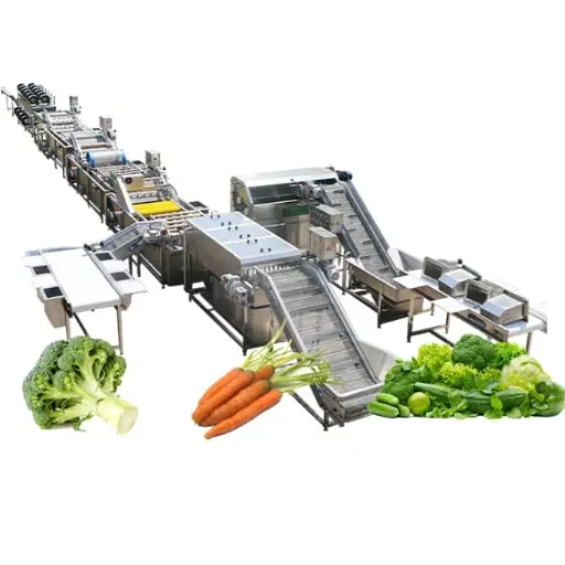 Recent Trends In Fruit And Vegetable Processing