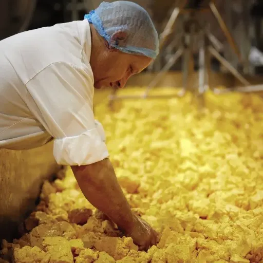 Introduction à la production de fromage