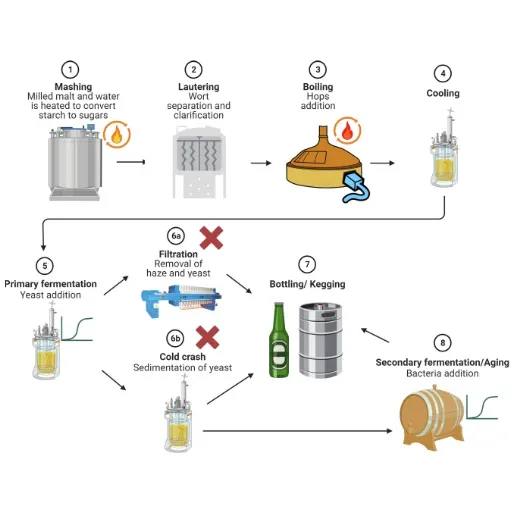Introduction to Beer Brewing