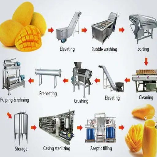 The Production Line: Steps Involved