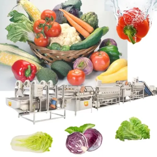 Introduction à la transformation des fruits et légumes