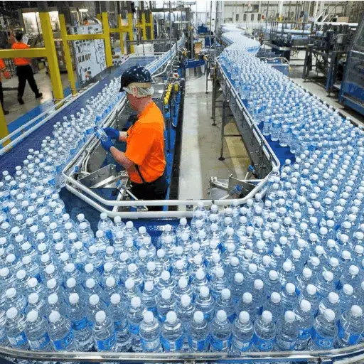 Factors Influencing Mineral Water Plant Cost