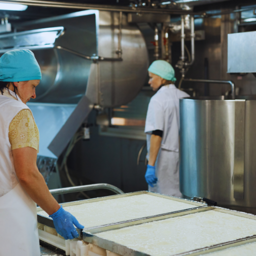 Aperçu des 15 meilleurs fabricants de lignes de production de fromage